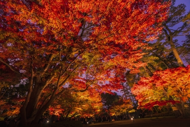 荻窪にある紅葉スポットとしてもおすすめな「大田黒公園」についてご紹介！